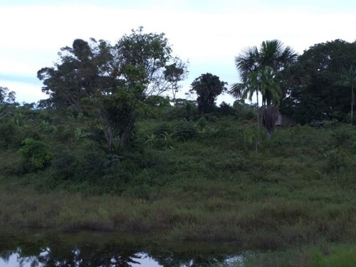 Bild 4 - Grundstück in Itacoatiara zum Kaufen