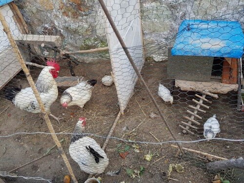 Bild 4 - Einfamilienhaus mit 160,00 m² in Selçuk Gökçealan Mahallesi zum Kaufen