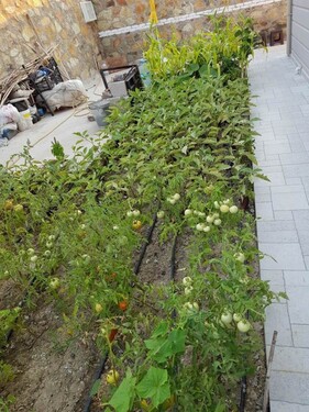 Bild 5 - 