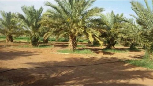 Bild 1 - 25 ha Landwirtschaftliche Fläche mit Wohnhaus