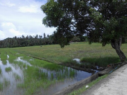 Bild 1 - Bauland, Investment, 3533sqm in Stadtnähe in Philippinen