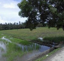 Bauland, Investment, 3533sqm in Stadtnähe in Philippinen - Ferrol