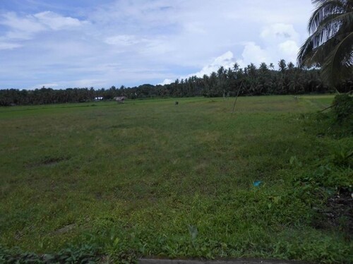 Bild 4 - Grundstück in Ferrol zum Kaufen