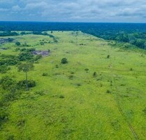 Brasilien 796 Ha billiges-Land mit Rohstoffen - Autazes