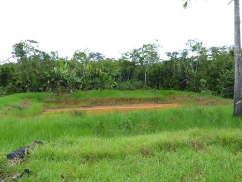 Bild 2 - Grundstück zum Kaufen in Autazes