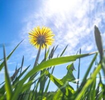 Idealer Baugrund auf Kreta fuer Seniorenresidenzen - Agriana - Insel Kreta