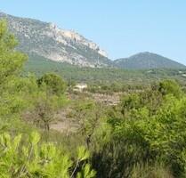 Finca mit großem Waldbestand - 187.000,00&nbsp;EUR Kaufpreis, ca.&nbsp; 340.000,00&nbsp;m&sup2; in Fontanares / Lorca (PLZ: )