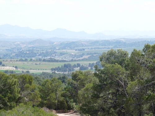 Bild 4 - Grundstück in Fontanares / Lorca zum Kaufen