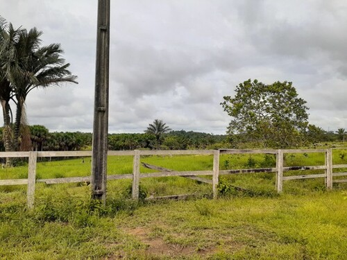 Bild 1 - Brasilien -1000 Hektar Grundstück mit Rohstoffen