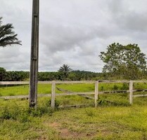 Brasilien -1000 Hektar Grundstück mit Rohstoffen - Presidente Figueiredo