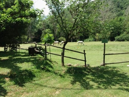 Bild 1 - Finca Rustica (Costa Brava) zu verkaufen