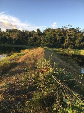 Bild 1 - Brasilien 124.2 Ha Bauernhaus Rinderzucht und Fischzucht