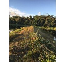 Brasilien 124.2 Ha Bauernhaus Rinderzucht und Fischzucht - Presidente Figueiredo