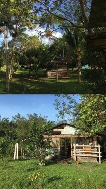 Bild 4 - Grundstück in Presidente Figueiredo zum Kaufen