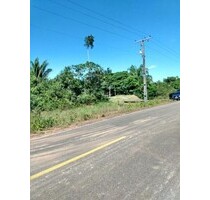 Brasilien 15´034 Ha grosses Grundstück (Goldvorkommen) - Novo Aripuana