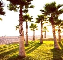 Costa del Sol Torrox El Morche - 98.500,00&nbsp;EUR Kaufpreis, ca.&nbsp; 52,00&nbsp;m&sup2;&nbsp;Wohnfl&auml;che in Torrox (PLZ: 29793)