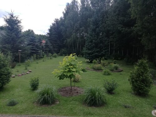 Bild 3 - 7 Zimmer Einfamilienhaus in Ksiazenice