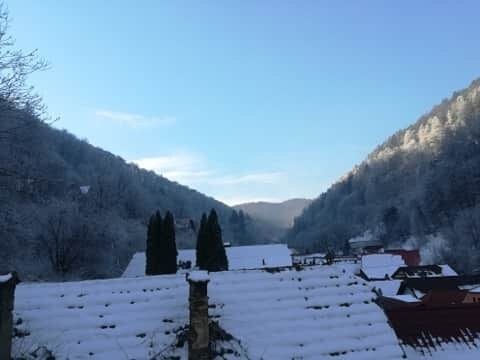 Bild 1 - 3 Reihenhäuser mit 2.100qm Garten