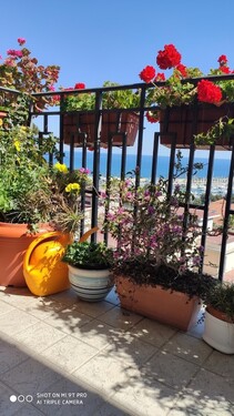 Bild 2 - 6 Zimmer Etagenwohnung zum Kaufen in Imperia