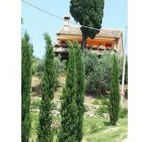 Ehrwuerdige villa zw. Meer u. Montisibillini - Carassai (AP)