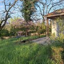 Bild 4 - Einfamilienhaus mit 120,00 m² in LANNEPAX zum Kaufen