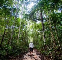 Brasilien 1040 Ha Tiefpreis- Grundstück mit Privatsee - Novo Aripuana