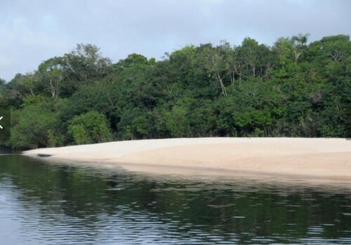 Bild 3 - Grundstück in Novo Aripuana