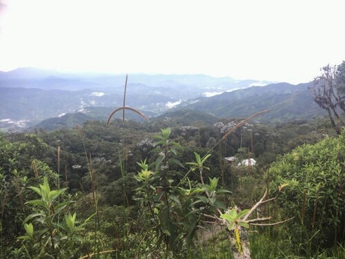 Bild 2 - Grundstück zum Kaufen in Intag