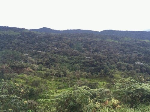 Bild 3 - Grundstück in Intag