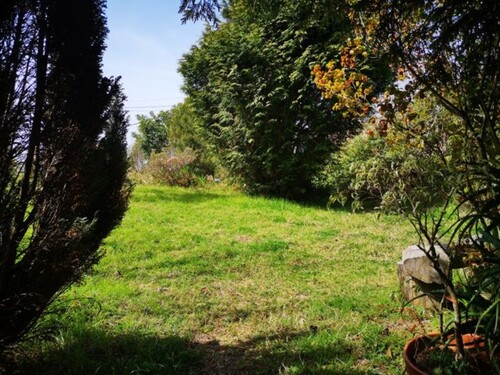 Bild 3 - 3 Zimmer Einfamilienhaus in Funchal