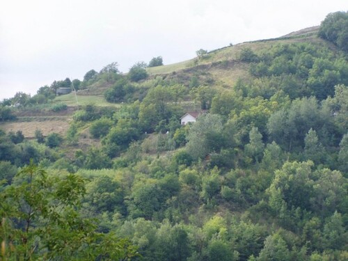 Bild 3 - 6 Zimmer Einfamilienhaus in Montabone (at)