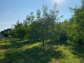 Bild 3 - 2 Zimmer Einfamilienhaus in Garabonc
