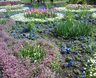 4-Familien-Doppelhaushälfte - 450.000,00&nbsp;EUR Kaufpreis, ca.&nbsp; 300,00&nbsp;m&sup2;&nbsp;Wohnfl&auml;che in Creuzburg (PLZ: 99831)