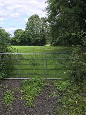 Bild 2 - 5 Zimmer Einfamilienhaus zum Kaufen in Belturbet