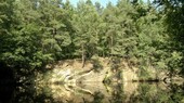 Bild 1 - Grundstück im Wald mit Kranteich