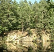 Grundstück im Wald mit Kranteich - Vierkirchen OT Arnsdorf-Hilbersdorf