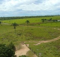 Brasilien 480 Tiefpreis-Grundstück - Rinderfarm - Manaus