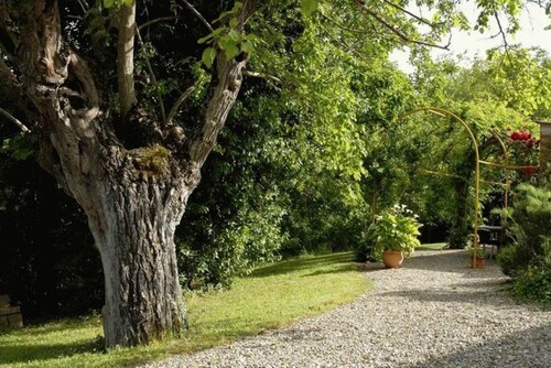 Bild 3 - 9 Zimmer Einfamilienhaus in Sinalunga