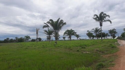 Bild 2 - Grundstück zum Kaufen in Manaus