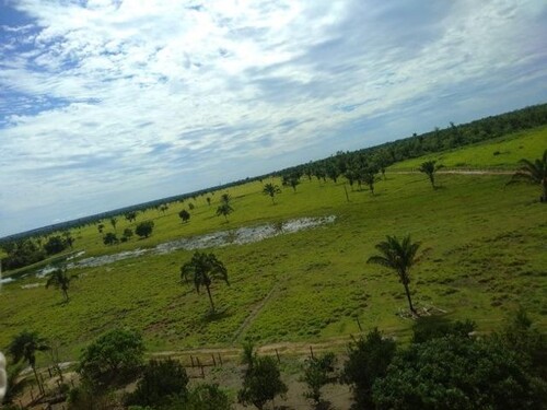 Bild 3 - Grundstück in Manaus