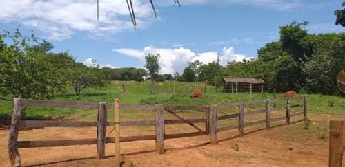 Bild 4 - Grundstück in Manaus zum Kaufen