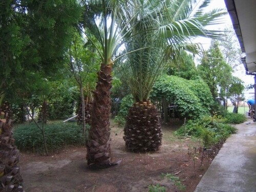 Bild 1 - Landhaus am Jonischen Meer - 350.000,00 EUR Kaufpreis, ca.  200,00 m² Wohnfläche