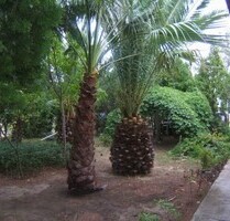 Landhaus am Jonischen Meer - 350.000,00 EUR Kaufpreis, ca.  200,00 m² Wohnfläche in Mercuragno (PLZ: 75012)