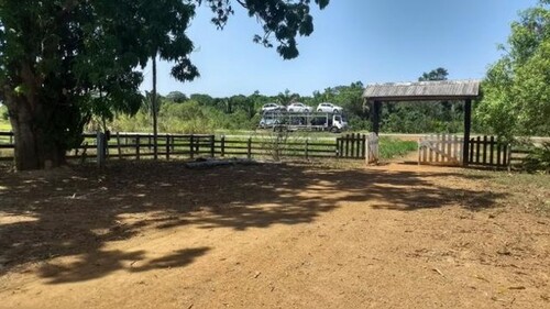 Bild 1 - Brasilien 3´000 Ha Grundstück Region Süd-Manaus