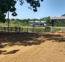 Brasilien 3´000 Ha Grundstück Region Süd-Manaus