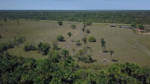 Bild 3 - Grundstück in Manaus