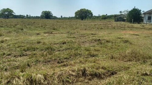 Bild 4 - Grundstück in Manaus zum Kaufen