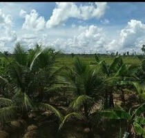 Brasilien riesengrosses 1´582 Ha Grundstück Region Manaus