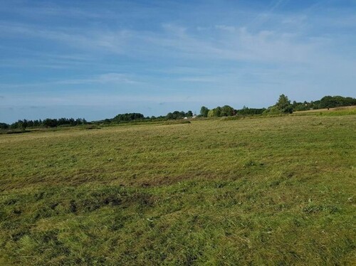 Bild 2 - Grundstück zum Kaufen in Sarbsk