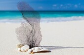 Bild 1 - Neues Haus in Kamenar 6km vom Strand und Meer